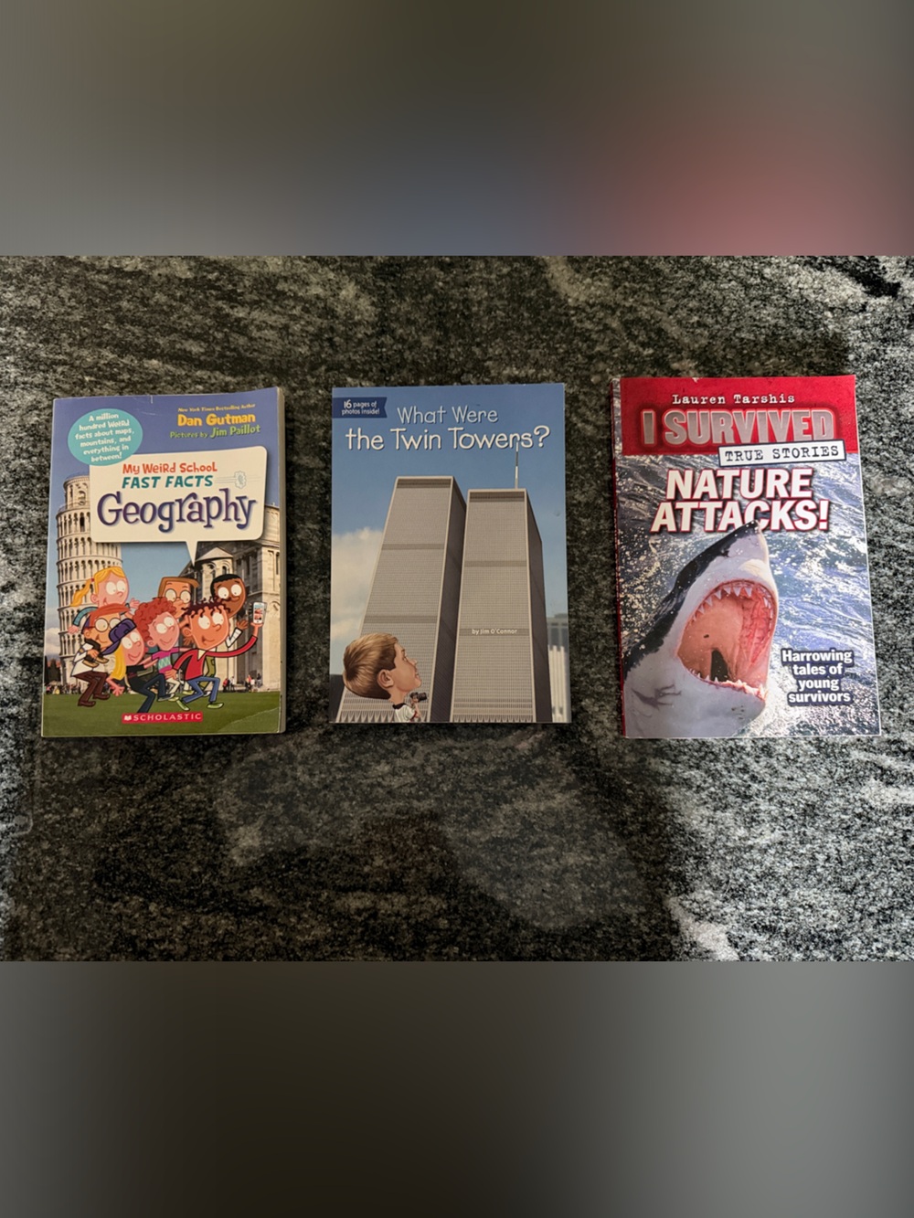 *4/$20 Fast Facts Geography/Twin Towers/nature attackes